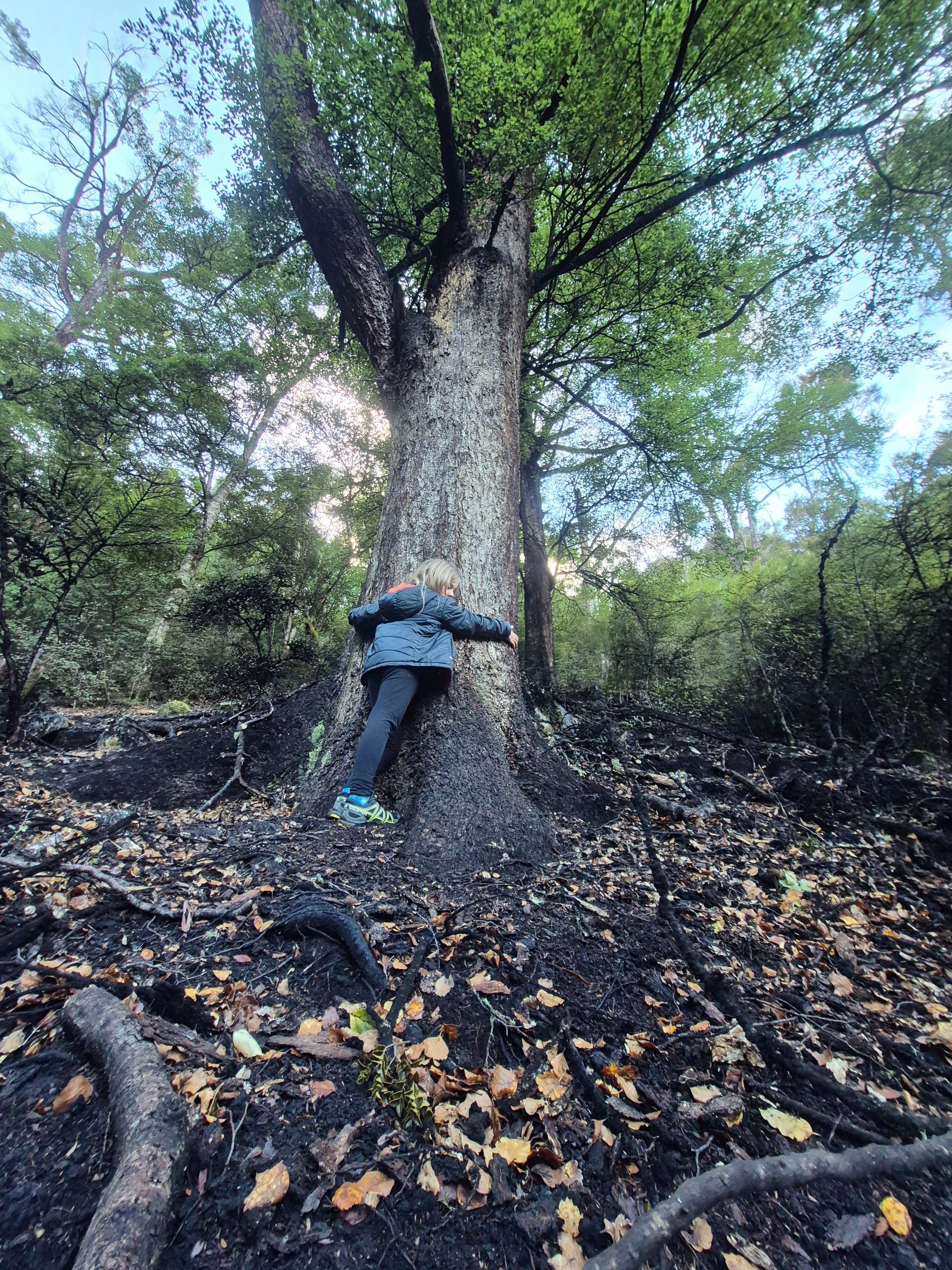 Celebrating (beyond) Plastic-Free July