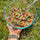 Summer Tabbouleh Salad for Picnics (gf v)