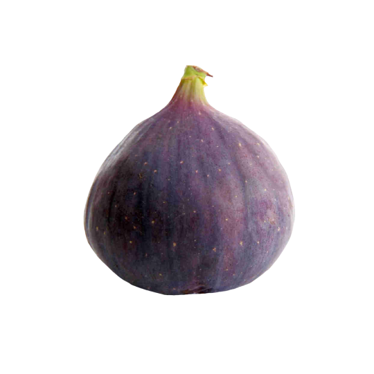 Fig