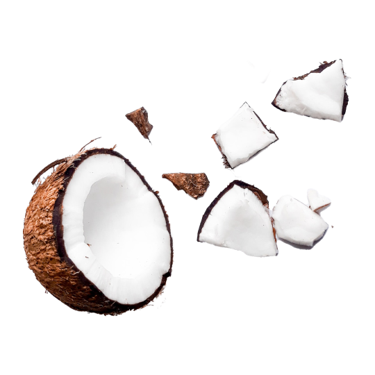 Coconut